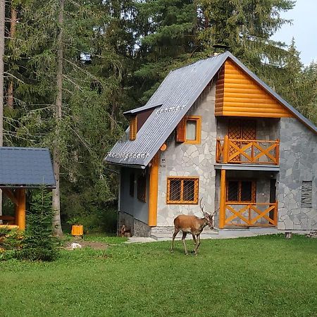 Chata Tatry Tatranska Strba Exterior photo