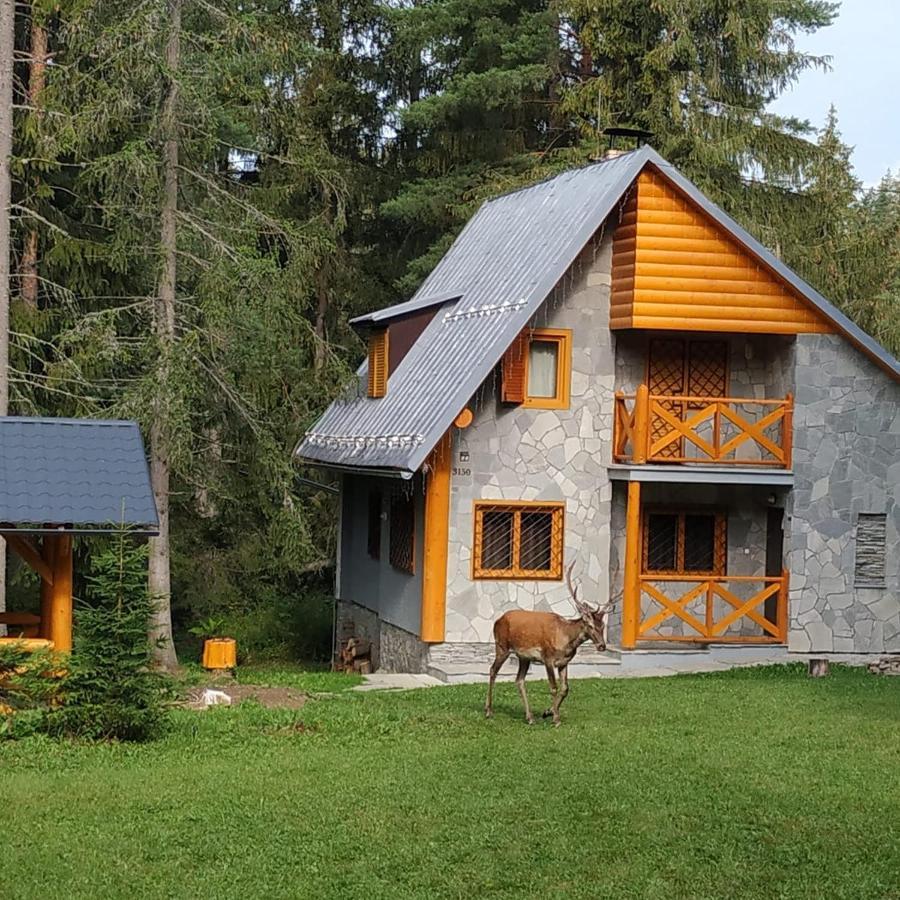 Chata Tatry Tatranska Strba Exterior photo